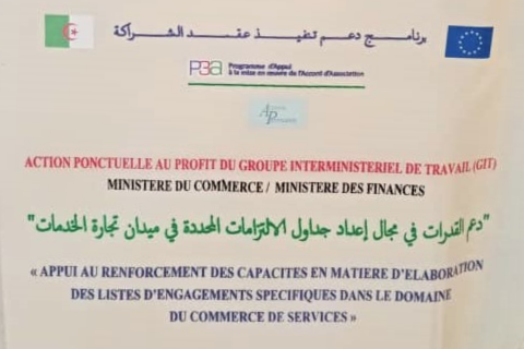 Support to EU-Algeria Relations