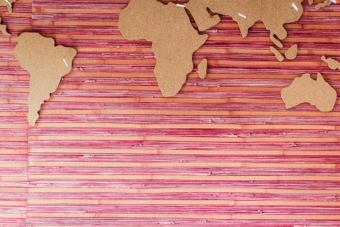 Training and Methodological Support for EU International Cooperation